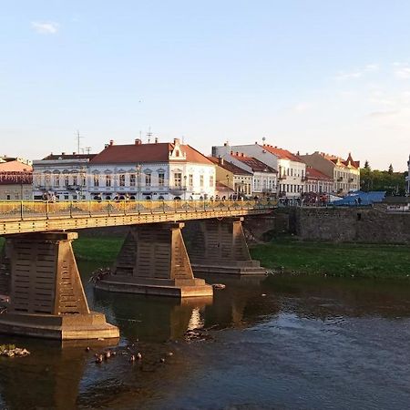 Затишна Двокімнатна Квартира В Самому Серці Ужгорода Oujhorod Extérieur photo